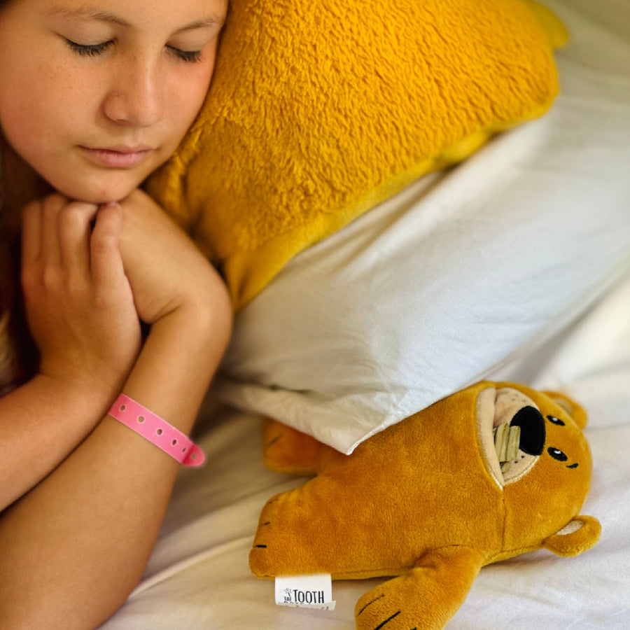 Tupelo Bear Tooth Fairy Pillow