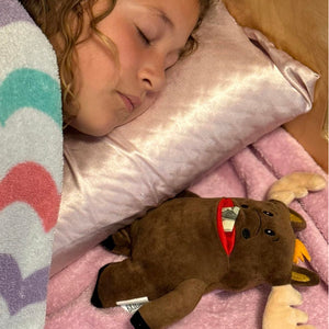 Twigs Moose Tooth Pillow
